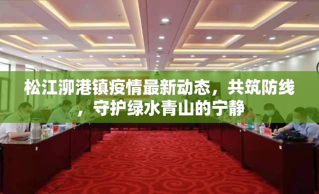 松江泖港鎮(zhèn)疫情最新動態(tài)，共筑防線，守護綠水青山的寧靜