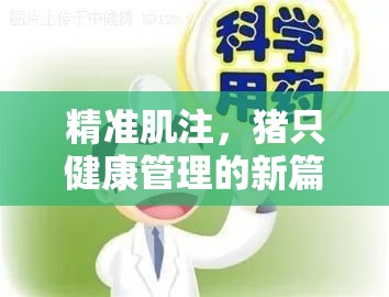 精準(zhǔn)肌注，豬只健康管理的新篇章