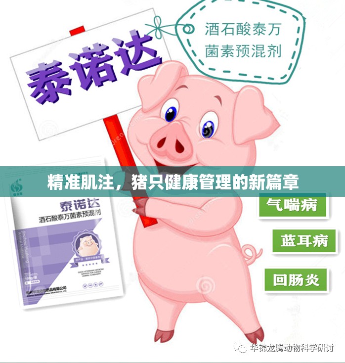 精準(zhǔn)肌注，豬只健康管理的新篇章