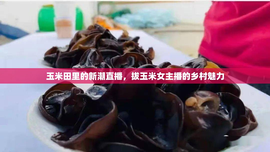 玉米田里的新潮直播，拔玉米女主播的鄉(xiāng)村魅力