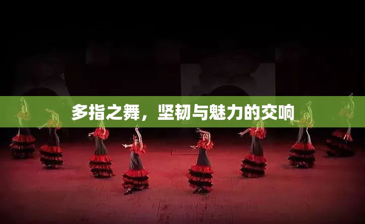 多指之舞，堅韌與魅力的交響