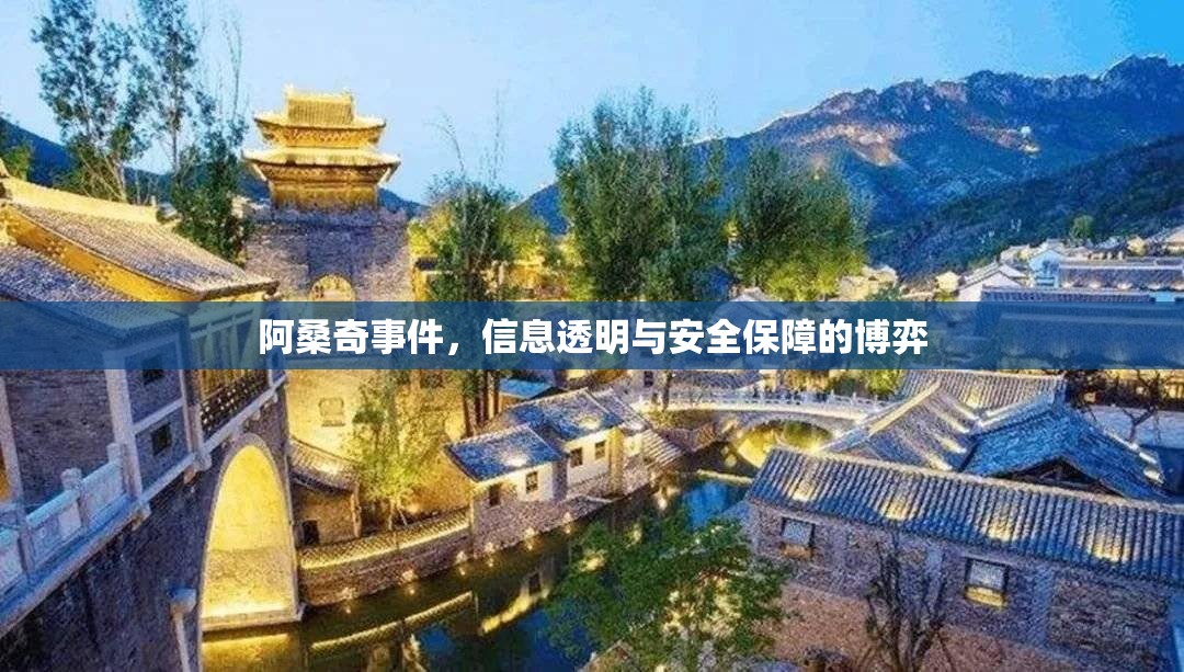 阿桑奇事件，信息透明與安全保障的博弈