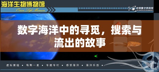 數(shù)字海洋中的尋覓，搜索與流出的故事