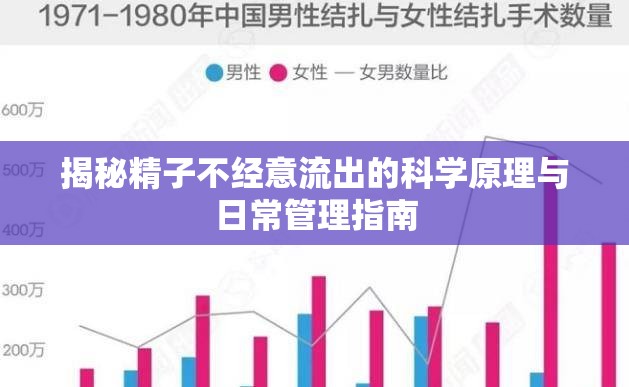 揭秘精子不經(jīng)意流出的科學(xué)原理與日常管理指南