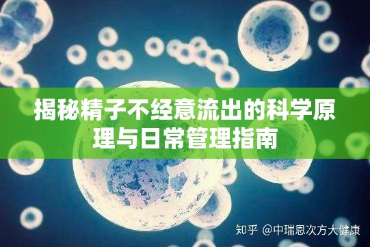 揭秘精子不經(jīng)意流出的科學(xué)原理與日常管理指南