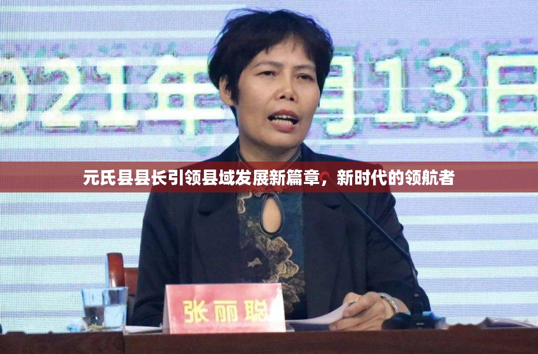 元氏縣縣長(zhǎng)引領(lǐng)縣域發(fā)展新篇章，新時(shí)代的領(lǐng)航者