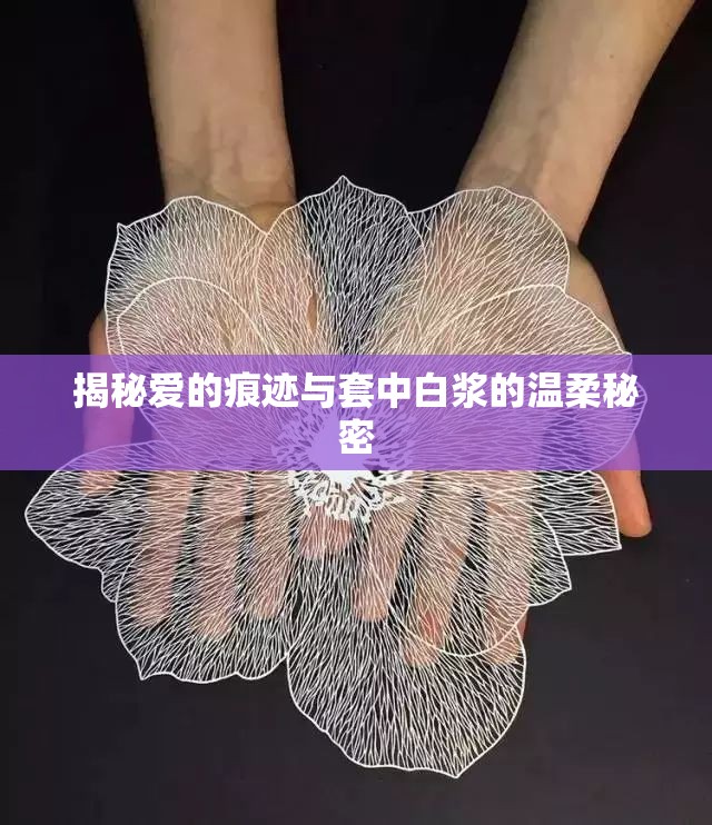 揭秘愛的痕跡與套中白漿的溫柔秘密