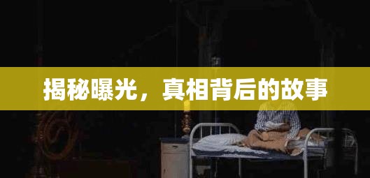 揭秘曝光，真相背后的故事