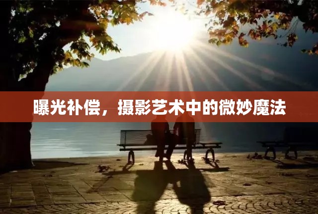 曝光補(bǔ)償，攝影藝術(shù)中的微妙魔法