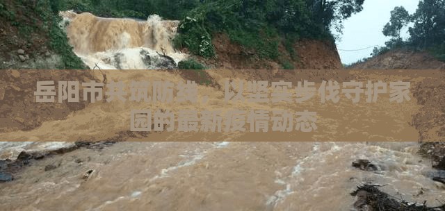 岳陽市共筑防線，以堅(jiān)實(shí)步伐守護(hù)家園的最新疫情動(dòng)態(tài)