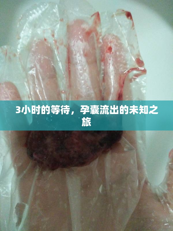 3小時(shí)的等待，孕囊流出的未知之旅