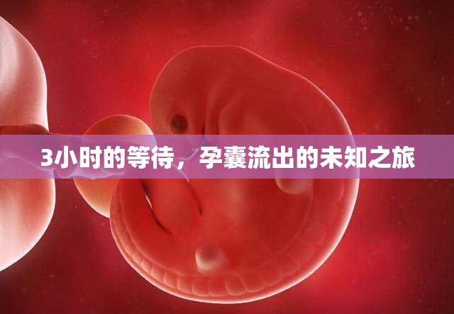 3小時(shí)的等待，孕囊流出的未知之旅
