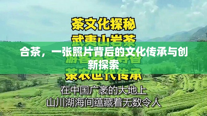 合茶，一張照片背后的文化傳承與創(chuàng)新探索