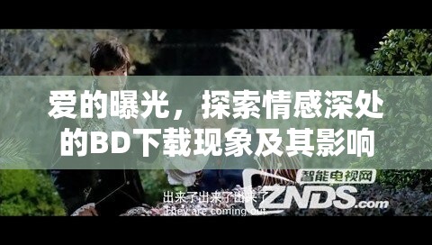 愛的曝光，探索情感深處的BD下載現(xiàn)象及其影響