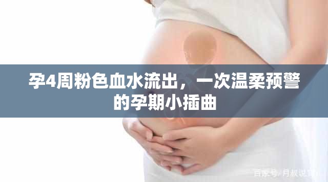 孕4周粉色血水流出，一次溫柔預(yù)警的孕期小插曲