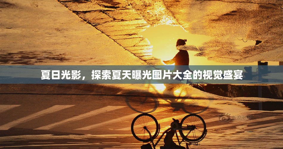 夏日光影，探索夏天曝光圖片大全的視覺盛宴