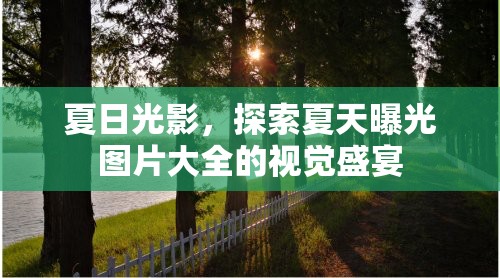 夏日光影，探索夏天曝光圖片大全的視覺盛宴