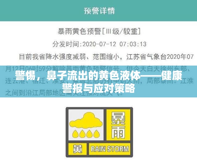 警惕，鼻子流出的黃色液體——健康警報與應對策略