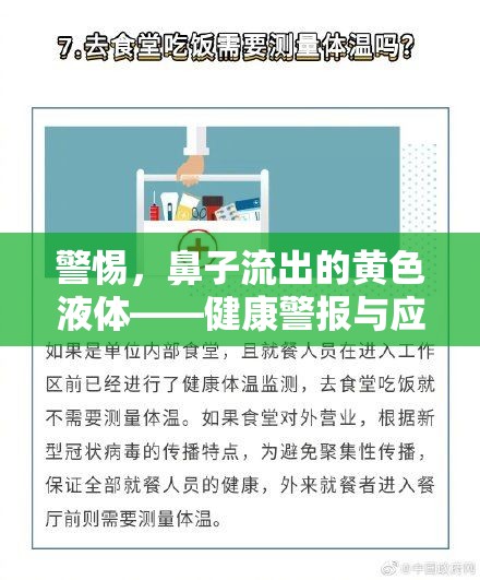 警惕，鼻子流出的黃色液體——健康警報與應對策略