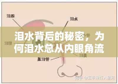 淚水背后的秘密，為何淚水總從內(nèi)眼角流出