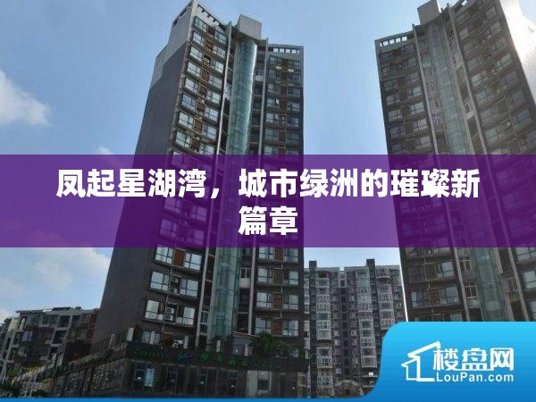 鳳起星湖灣，城市綠洲的璀璨新篇章