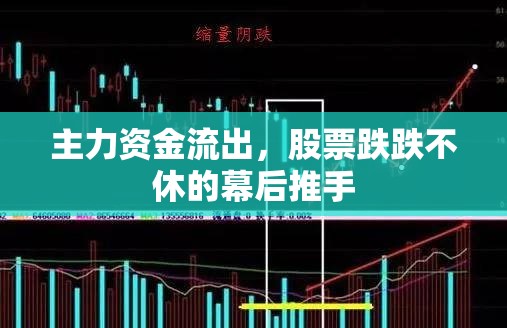 主力資金流出，股票跌跌不休的幕后推手
