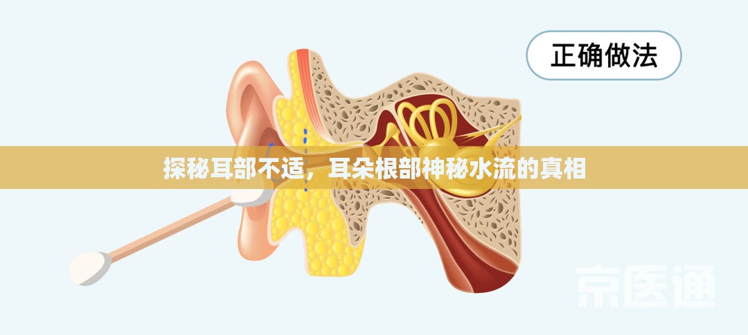 探秘耳部不適，耳朵根部神秘水流的真相