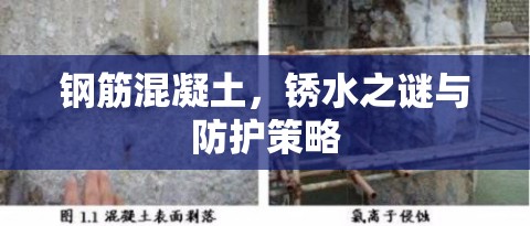 鋼筋混凝土，銹水之謎與防護(hù)策略