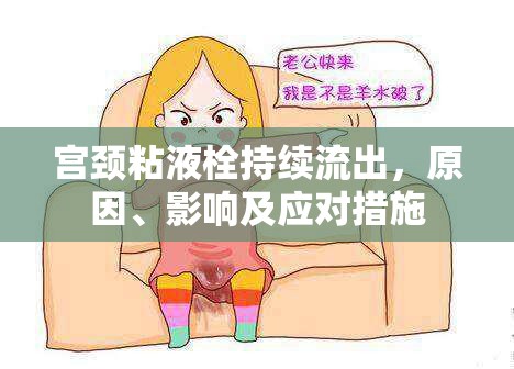 宮頸粘液栓持續(xù)流出，原因、影響及應(yīng)對措施