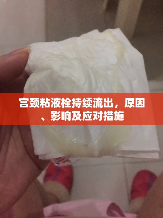 宮頸粘液栓持續(xù)流出，原因、影響及應(yīng)對措施