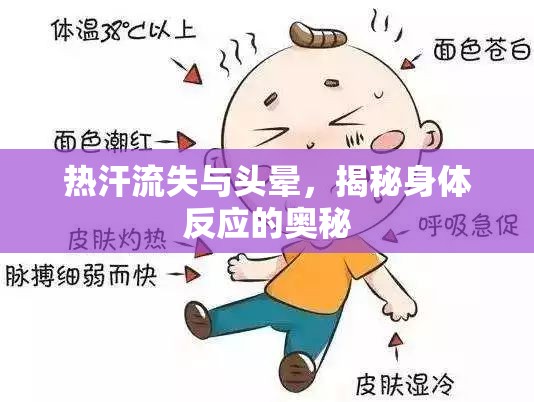 熱汗流失與頭暈，揭秘身體反應(yīng)的奧秘