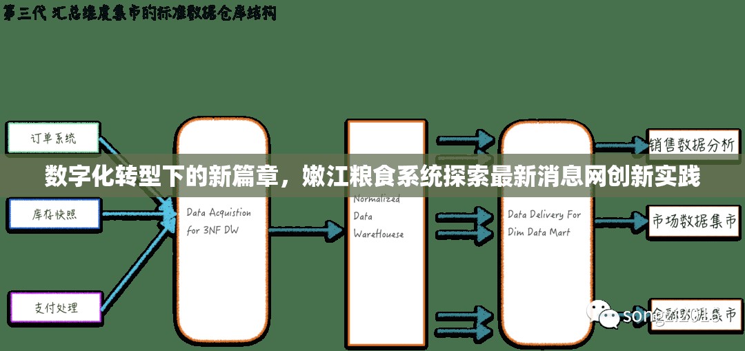 數(shù)字化轉(zhuǎn)型下的新篇章，嫩江糧食系統(tǒng)探索最新消息網(wǎng)創(chuàng)新實(shí)踐