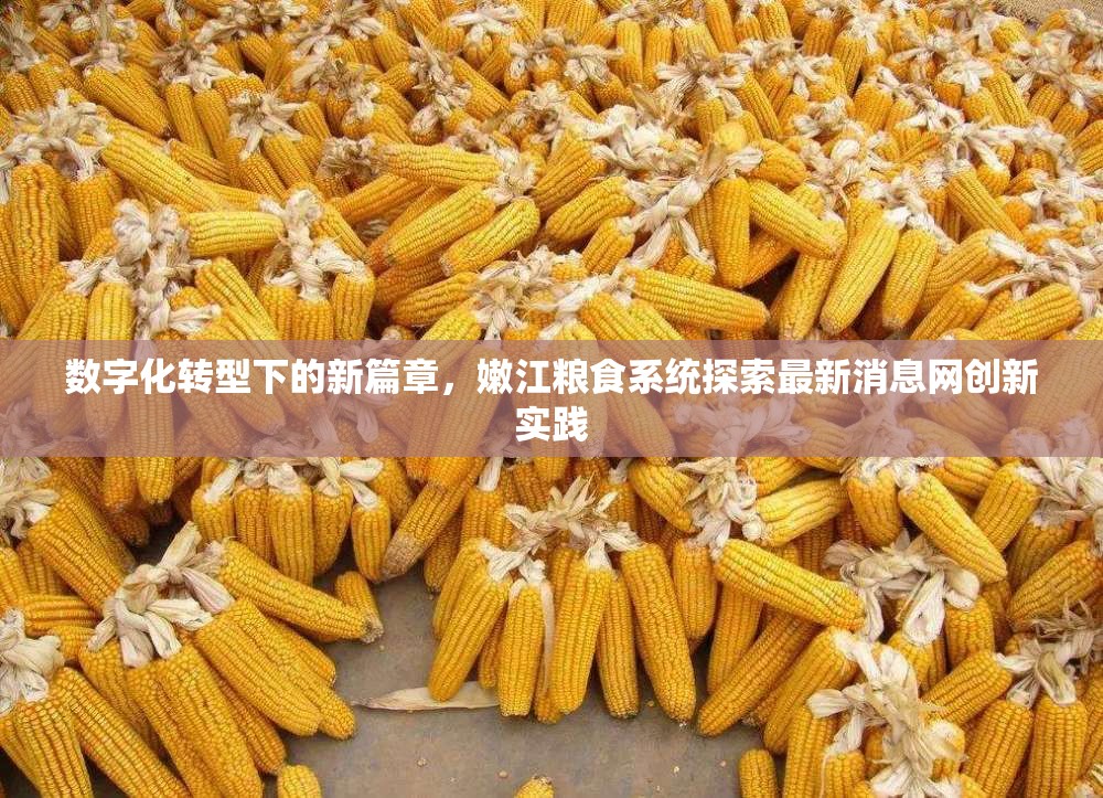 數(shù)字化轉(zhuǎn)型下的新篇章，嫩江糧食系統(tǒng)探索最新消息網(wǎng)創(chuàng)新實(shí)踐