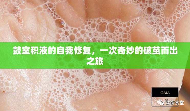 鼓室積液的自我修復，一次奇妙的破繭而出之旅