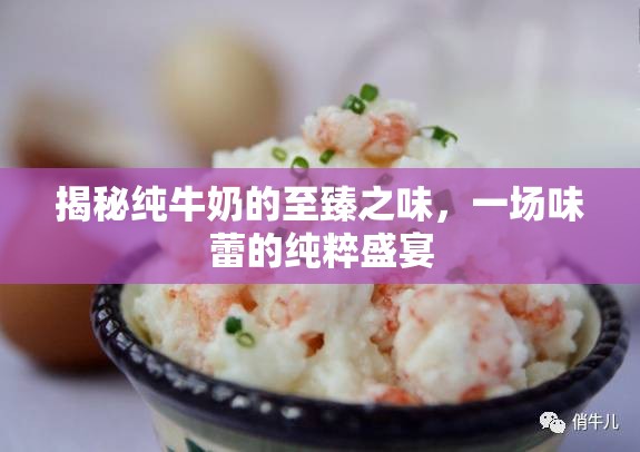 揭秘純牛奶的至臻之味，一場味蕾的純粹盛宴