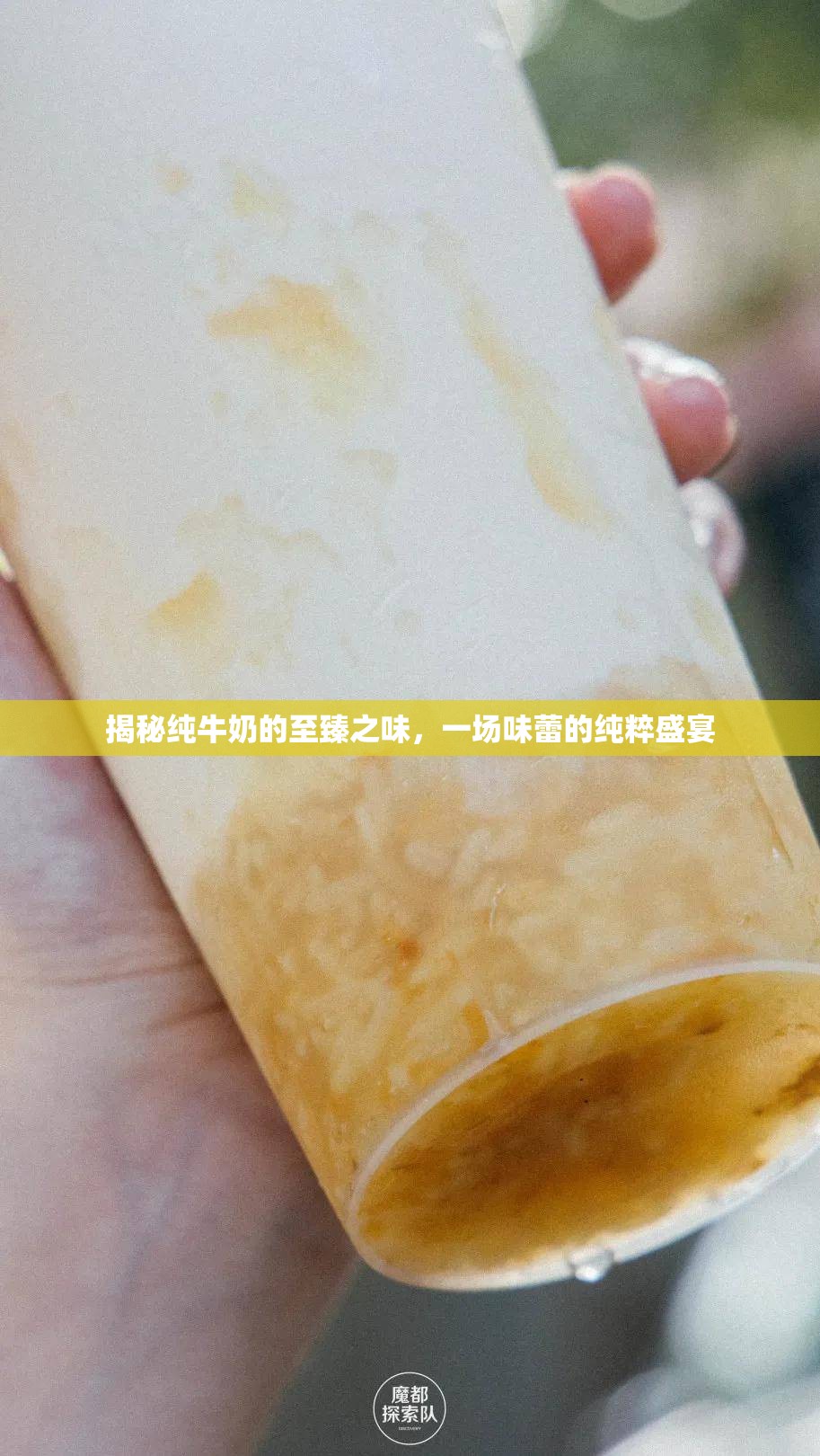 揭秘純牛奶的至臻之味，一場味蕾的純粹盛宴