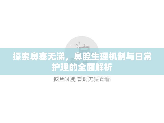 探索鼻塞無涕，鼻腔生理機(jī)制與日常護(hù)理的全面解析