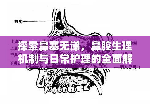 探索鼻塞無涕，鼻腔生理機(jī)制與日常護(hù)理的全面解析