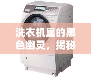 洗衣機里的黑色幽靈，揭秘黑色蟲子之謎
