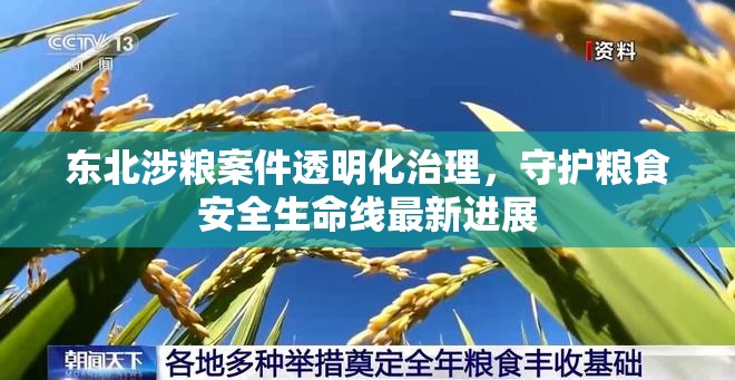 東北涉糧案件透明化治理，守護(hù)糧食安全生命線最新進(jìn)展
