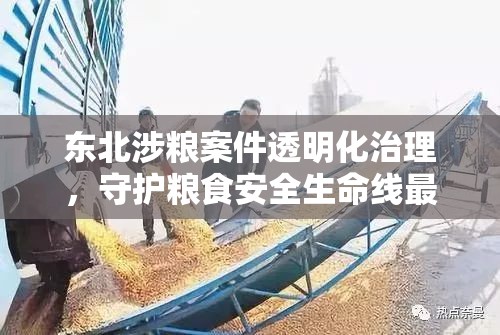東北涉糧案件透明化治理，守護(hù)糧食安全生命線最新進(jìn)展