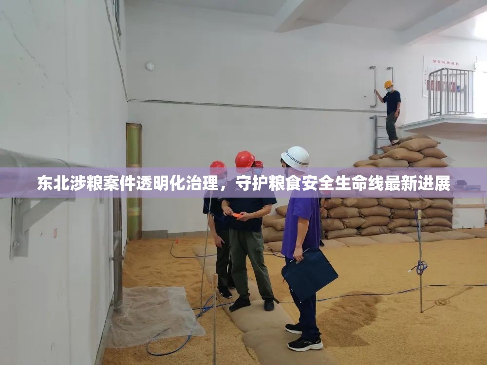 東北涉糧案件透明化治理，守護(hù)糧食安全生命線最新進(jìn)展