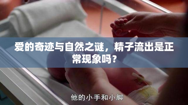 愛(ài)的奇跡與自然之謎，精子流出是正?，F(xiàn)象嗎？