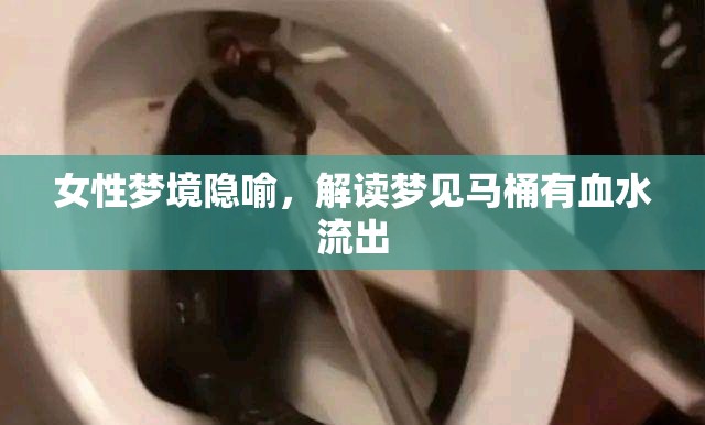 女性夢境隱喻，解讀夢見馬桶有血水流出