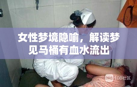 女性夢境隱喻，解讀夢見馬桶有血水流出