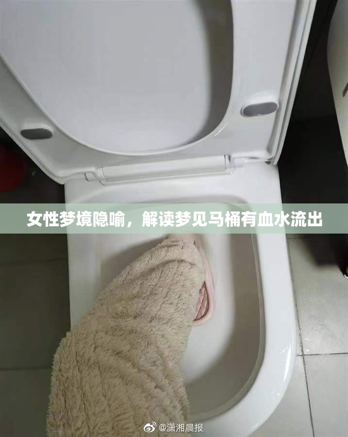 女性夢境隱喻，解讀夢見馬桶有血水流出