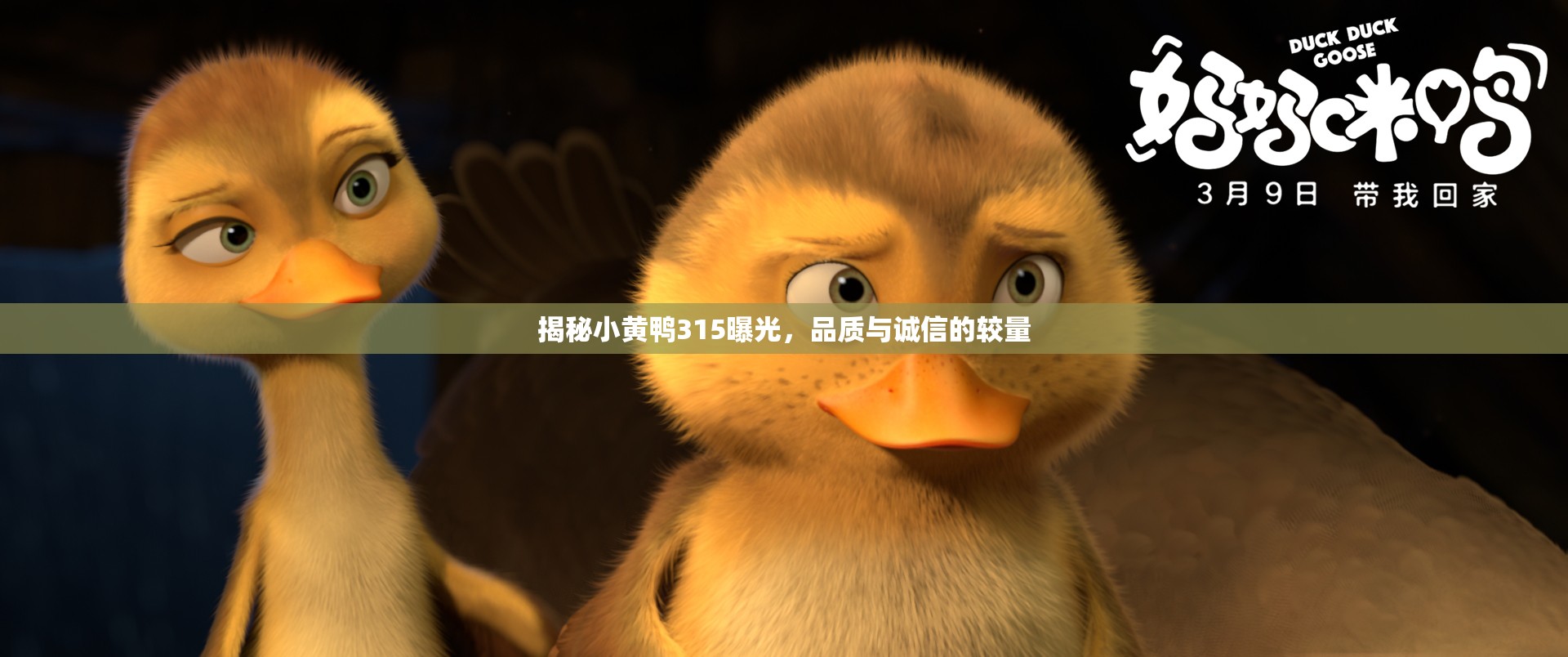 揭秘小黃鴨315曝光，品質(zhì)與誠(chéng)信的較量
