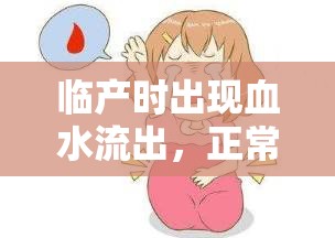 臨產(chǎn)時出現(xiàn)血水流出，正常嗎？—— 孕期知識小課堂