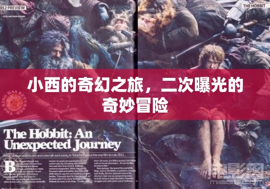小西的奇幻之旅，二次曝光的奇妙冒險