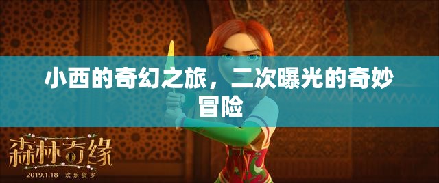 小西的奇幻之旅，二次曝光的奇妙冒險